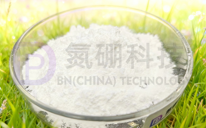 1767593074107833.jpg 20260105网站氮硼中文.jpg