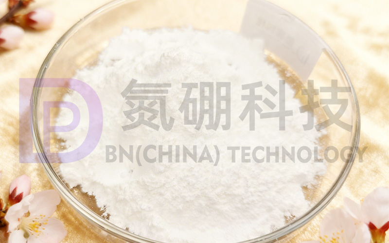 1771816504210338.jpg 20260223氮硼中文.jpg